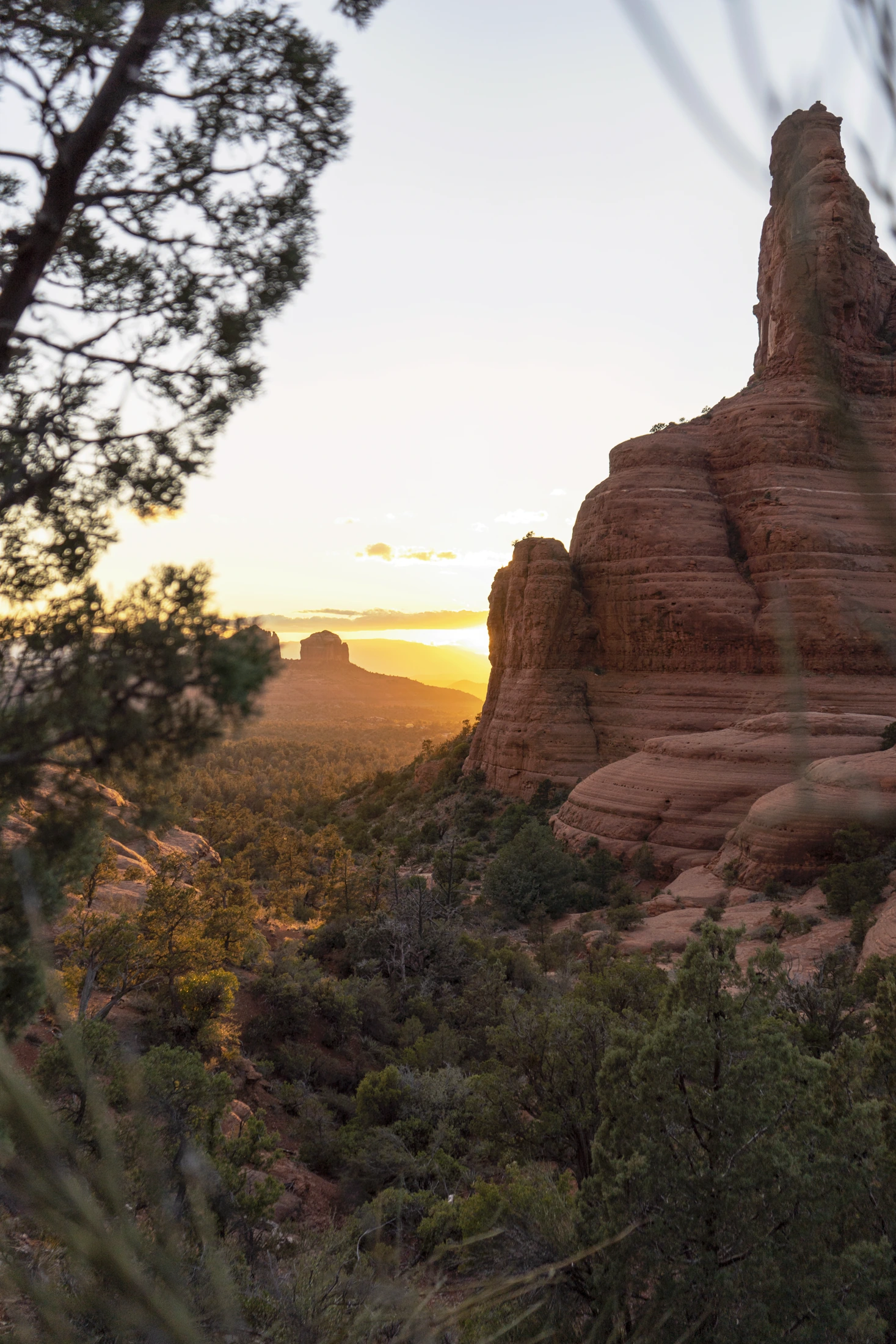 Warm sunset light across the red rock formations and forest at Chicken Point in Sedona